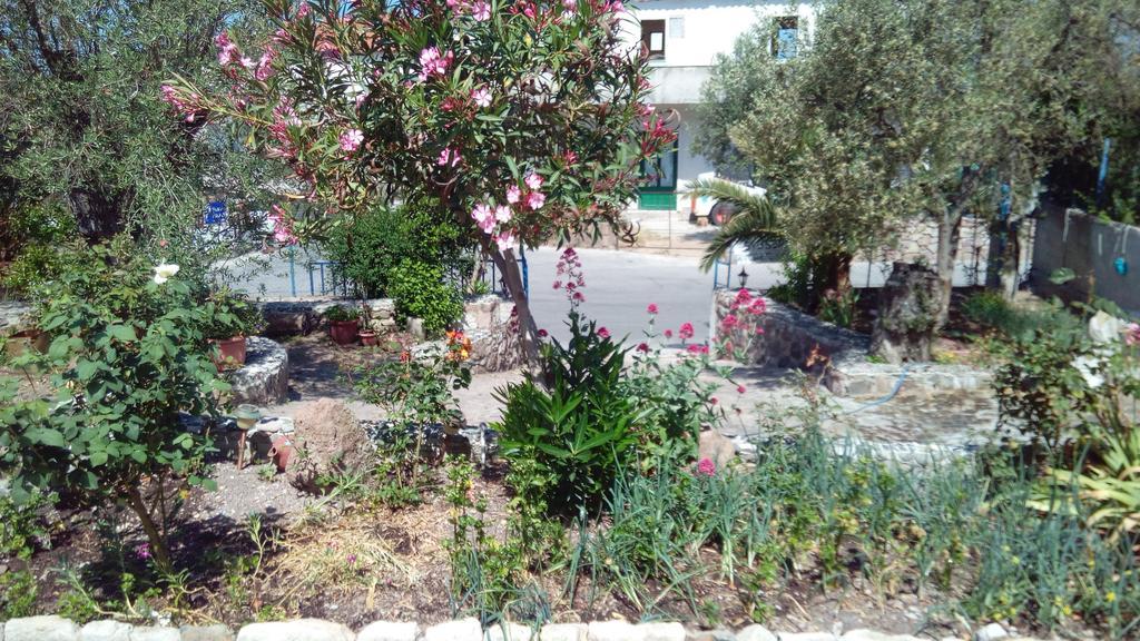 Anessis Cosmos Aparthotel Anaxos Exterior photo