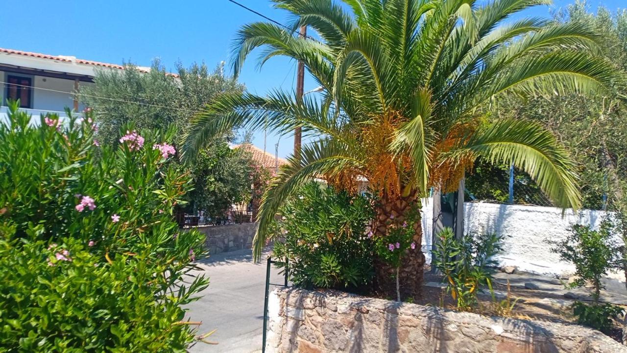 Anessis Cosmos Aparthotel Anaxos Exterior photo